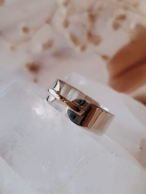 Kindred Wide Bridge Ring in sterling silver, resting on clear crystal with dried florals